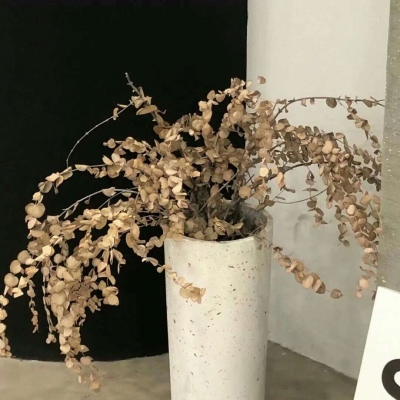 Furry插画细节提升干货Furry群